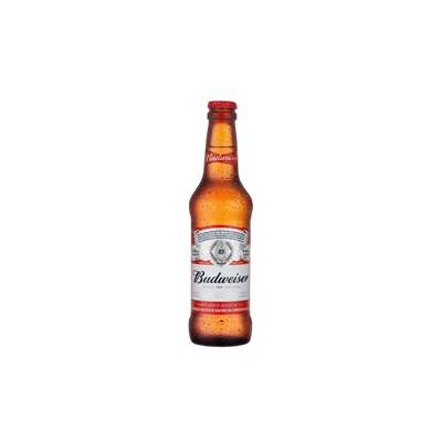 Cerveja Budweiser 330ml
